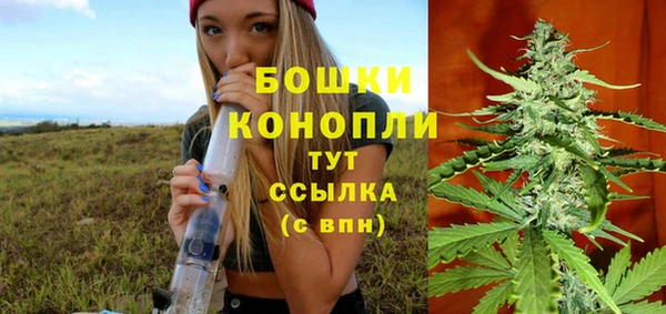 гидропоника Нея