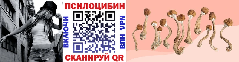 Псилоцибиновые грибы GOLDEN TEACHER Нижневартовск