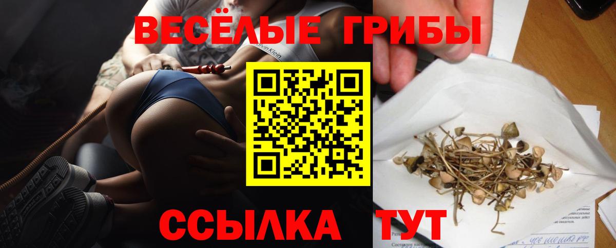 Псилоцибиновые грибы Magic Shrooms  Вход с VPN  Нижневартовск 