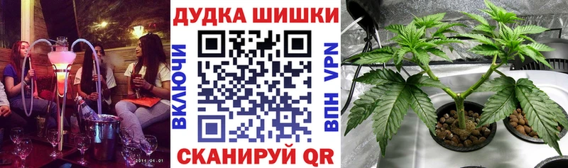 маркетплейс наркотические препараты  Нижневартовск  Шишки марихуана OG Kush  продажа наркотиков 