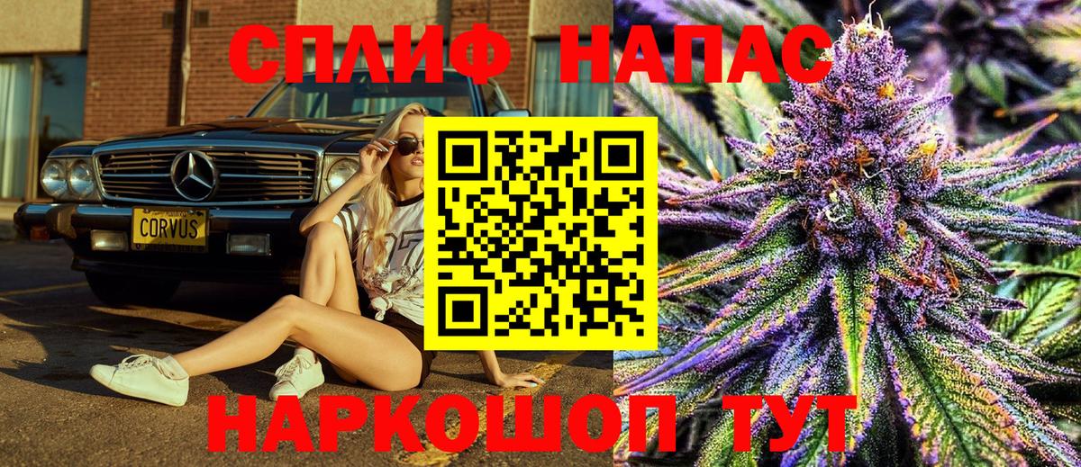 Бошки Шишки MAZAR Нижневартовск